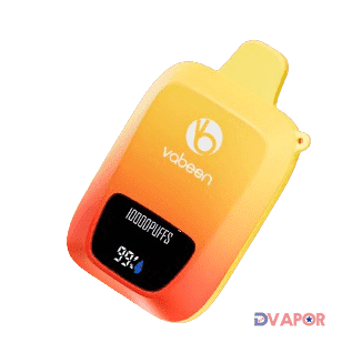 Vabeen Flex Air Maxx 10,000 Puff 5% Rechargeable Disposable with Display