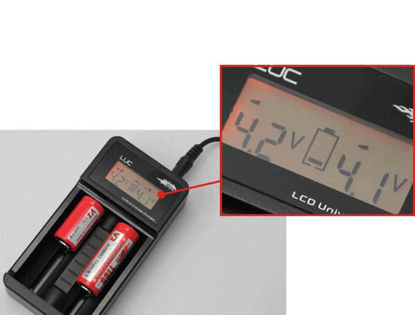 eFest LUC Dual Slot Multifunction Smart Charger with LCD Display